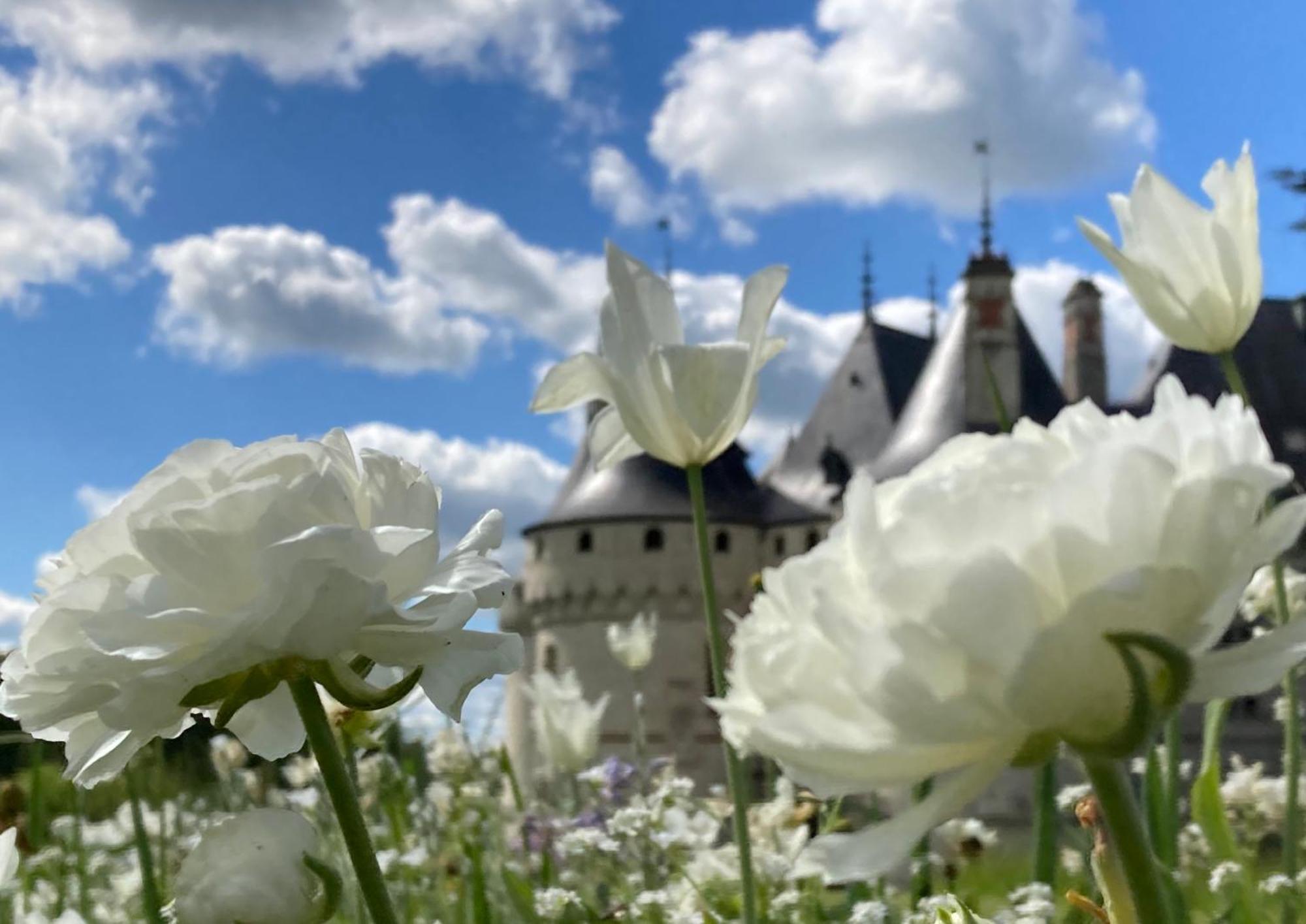 Une Maison, Un Jardin Berthenay Eksteriør bilde
