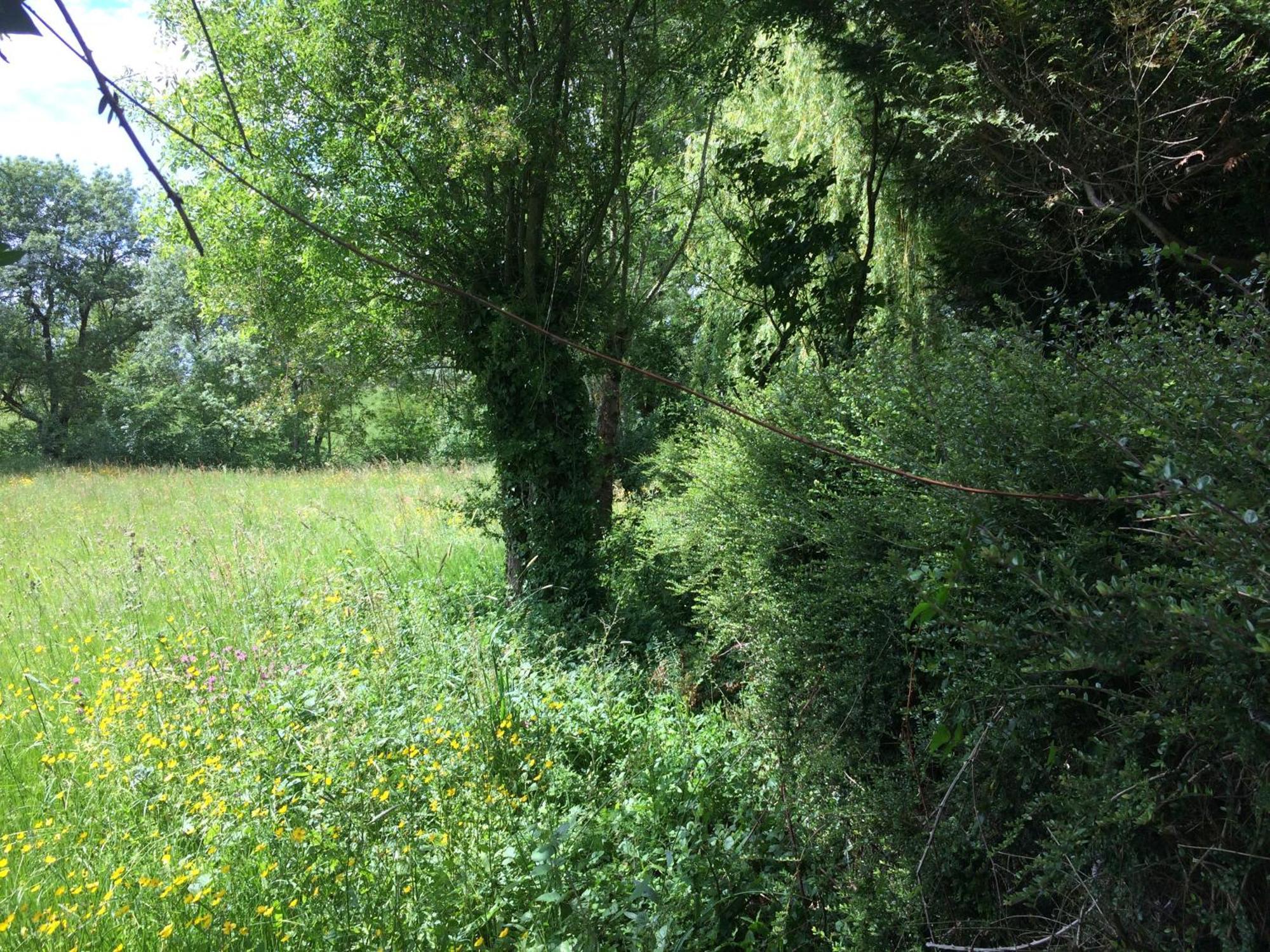 Une Maison, Un Jardin Berthenay Eksteriør bilde
